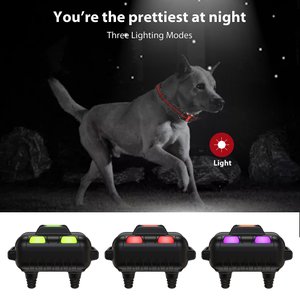 10 Best Electric Dog Training Collars 2024: According to Reviews