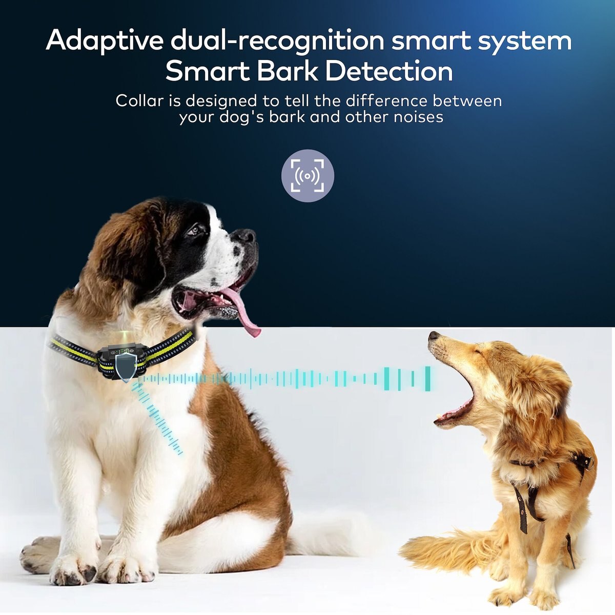 PETDIARY B600 Waterproof Dog Bark Collar, Black