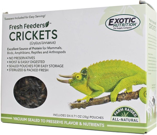 Exotic Nutrition Fresh Feeders Crickets Reptile Food, 5-oz box slide 1 of 4