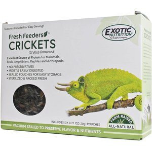 Exotic Nutrition Fresh Feeders Crickets Reptile Food, 5-oz box