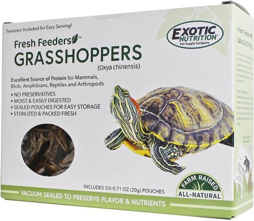 Exotic Nutrition Fresh Feeders Grasshoppers Reptile Food, 5-oz box