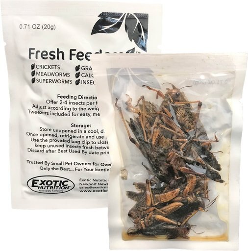 Exotic Nutrition Fresh Feeders Grasshoppers Reptile Food, 5-oz box