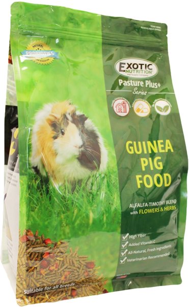 Exotic Nutrition Pasture Plus+ Guinea Pig Food, 5-lb bag slide 1 of 2