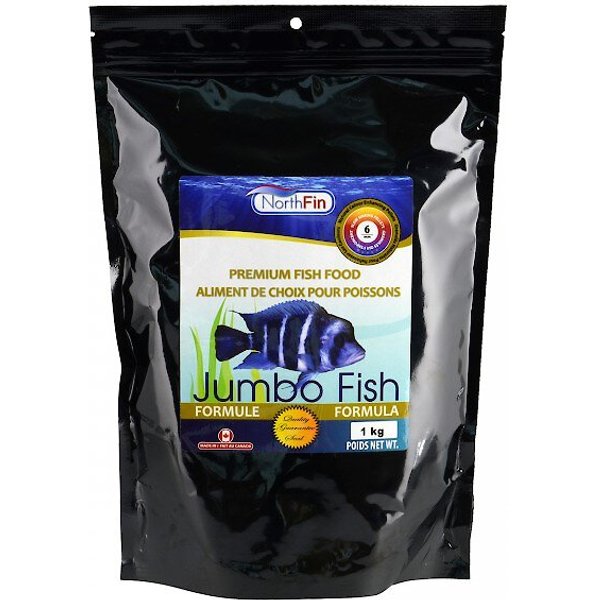 northfin jumbo fish