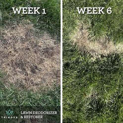 TriNova Lawn Deodorizer & Restorer Spray, 32-oz bottle slide 2 of 4