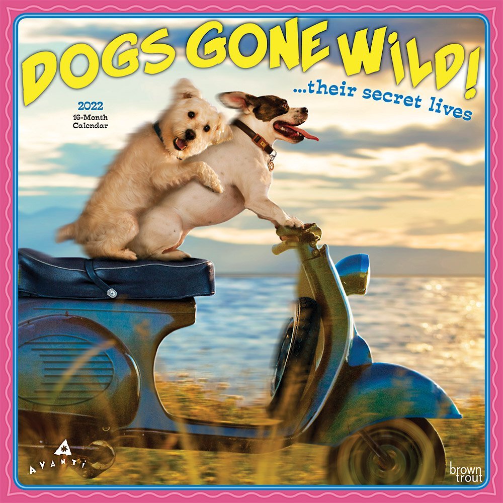Avanti Dogs Gone Wild 2022 Square Calendar