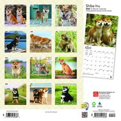 Shiba Inu 2022 Square Calendar slide 2 of 3
