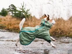 Hurtta Rain Blocker ECO Dog & Cat Rain Jacket, 14-in slide 2 of 4