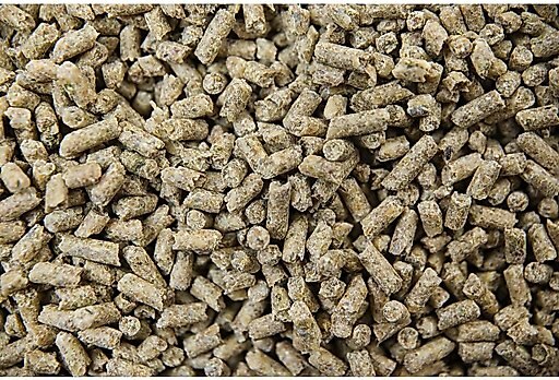 Buckeye Nutrition Gro 'N Win Pelleted Horse Feed, 50-lb bag
