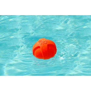 Hartz Dura Play Ball Squeaky Latex Dog Toy, Color Varies, 3 count, Small