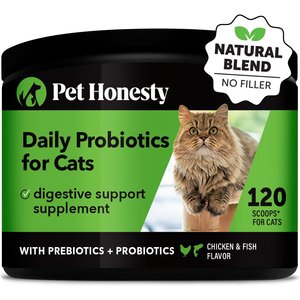 Common side effects of probiotics 2025 in cats