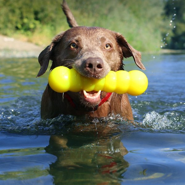 Ruff Dawg Dawg-Buster Hundekauspielzeug – 20,3 Cm, Schwimmfähig, Vollgummi, Neonfarben, Made In USA