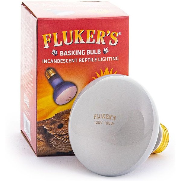 Flukers lamp sale