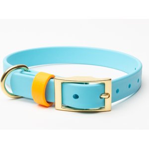 PawFurEver's Waterproof & Odorless Dog Collar, Blue & Orange, Medium