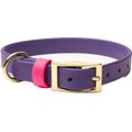 PawFurEver's Waterproof & Odorless Dog Collar, Purple & Pink, Small