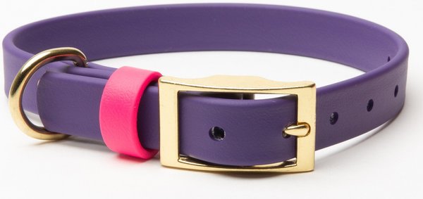 PawFurEver Waterproof Dog Collar, Purple & Pink, Medium slide 1 of 8
