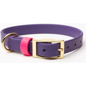 PawFurEver's Waterproof & Odorless Dog Collar, Purple & Pink, Large