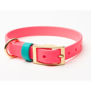 PawFurEver's Waterproof & Odorless Dog Collar, Pink & Teal, Medium