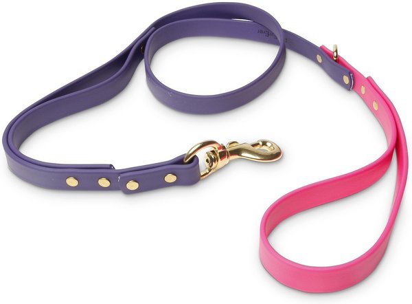 PawFurEver Waterproof Dog Leash, Purple & Pink, 4.25-ft slide 1 of 8