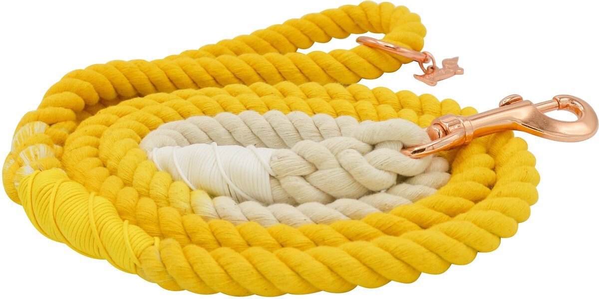 SASSY WOOF Rope Dog Leash, Lemon Drop