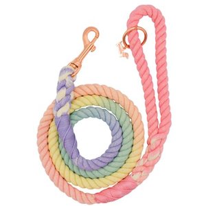 Sassy Woof Rope Dog Leash, Rainbow Bright