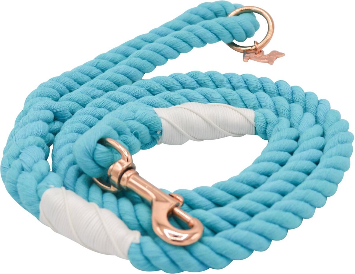 SASSY WOOF Rope Dog Leash, Seaside