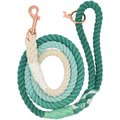 Sassy Woof Rope Dog Leash, Ombre Teal