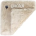 Bessie + Barnie Personalized Ultra Plush Faux Fur Cat & Dog Reversible Blanket, Beige, Small