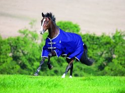 Shires Equestrian Products Highlander Plus TU Horse Blanket, 66-in
