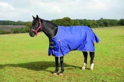 Shires Equestrian Products Highlander Plus TU Horse Blanket, Navy, 60-in