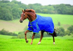 Shires Equestrian Products Highlander Plus TU 200-g Horse Blanket, Navy & Hunter, 63-in