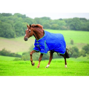 Shires Equestrian Products Highlander Plus TU 200-g Horse Blanket, Navy & Hunter, 84-in