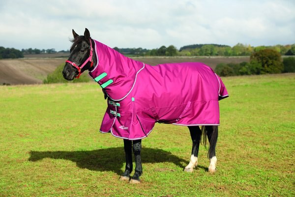 Shires Equestrian Products Highlander Plus TU Horse Blanket, Raspberry, 81-in slide 1 of 2