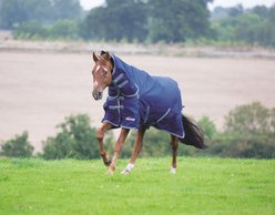 Shires Equestrian Products Highlander Plus Combo TU Horse Blanket, 60-in