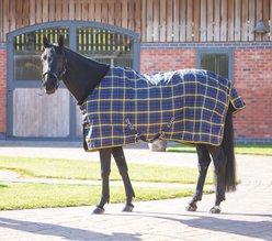 Shires Equestrian Products Tempest Plus Lite Stable Rug Horse Blanket, 60-in