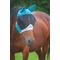Show in main carousel: Shires Equestrian Products Fine Mesh Horse Fly Mask with Ears, Teal, X-Small Pony slide 1 of 4