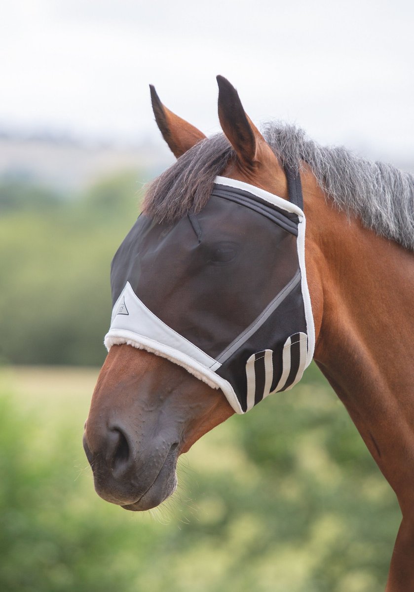 Shires Equestrian Products Fine Mesh Earless Horse Fly Mask