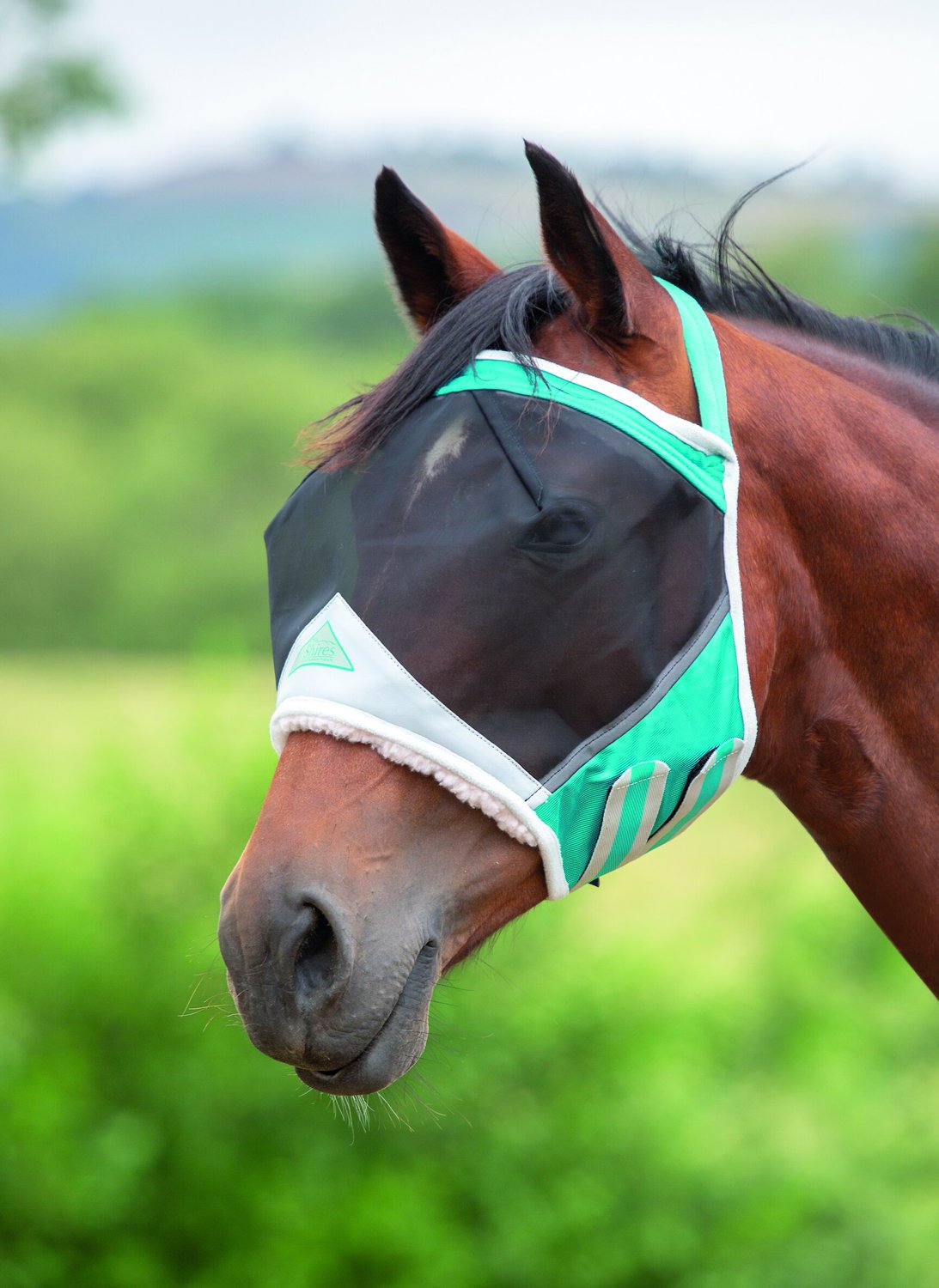 10 Best Fly Masks for Horses 2023 According to Reviews Chewy