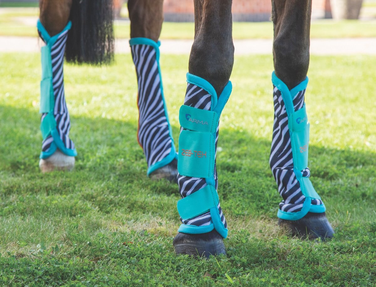 Shires Arma Horse Fly Turnout Socks, Teal, 4 pk.