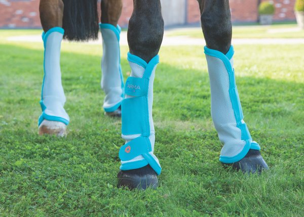 Shires Equestrian Products ARMA Fly TU Horse Socks, Teal, Cob slide 1 of 2