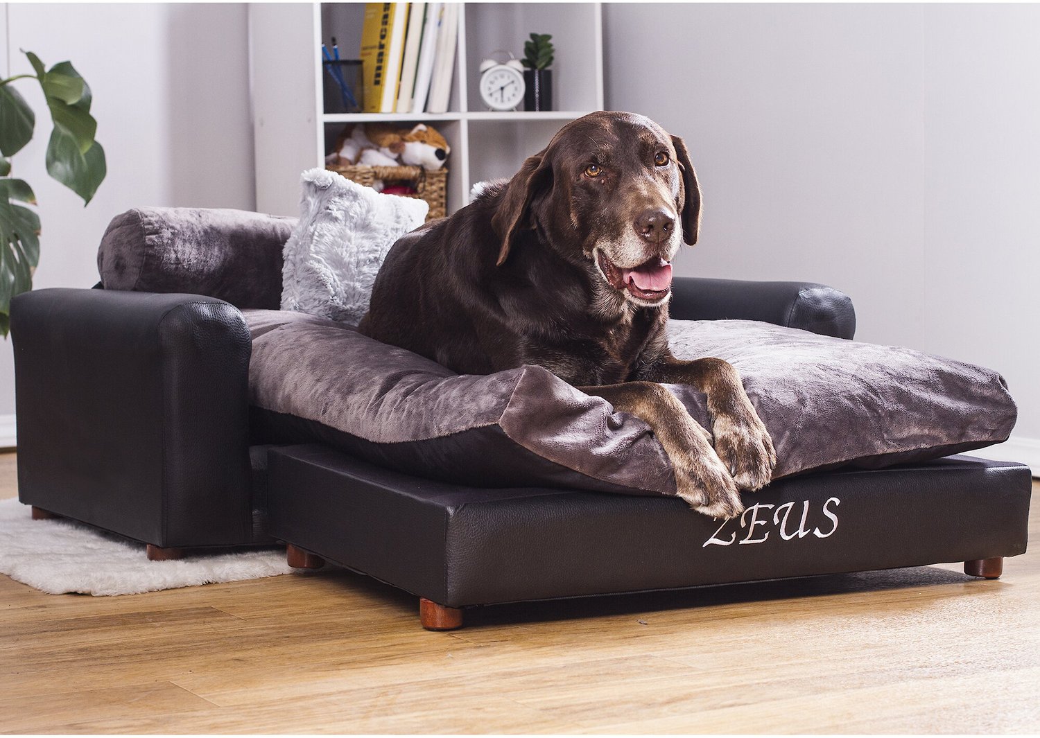 twist favorite terrorist MOOTS Personalized Leatherette Sofa Cat & Dog Bed, Charcoal, X-Large -  Chewy.com