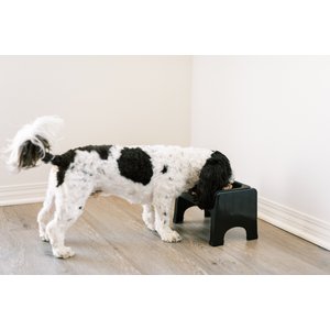 Fluff Trough Elevated Dog & Cat Feeder, Black, Standard