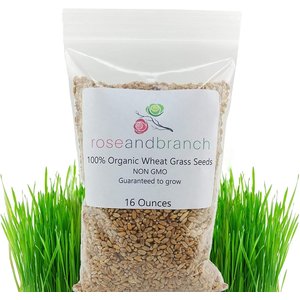 Rose & Branch Organic Wheat Cat Grass Seeds, 16-oz pouch