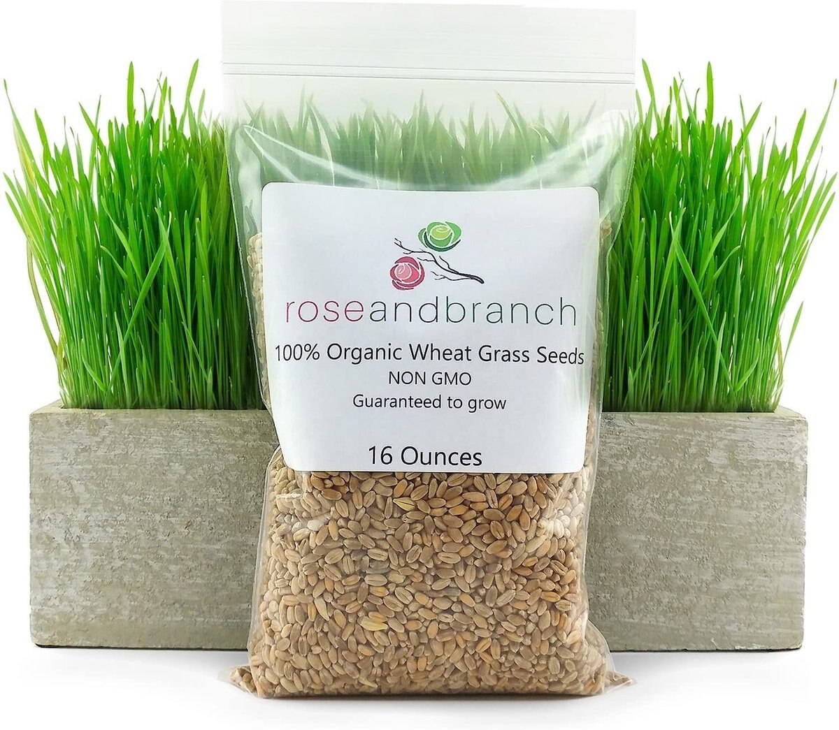 Rose & Branch Organic Wheat Cat Grass Seeds, 16-oz pouch