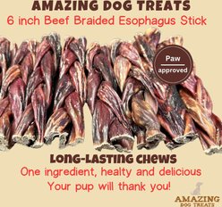 Amazing Dog Treats Braided Beef Esophagus Jerky Dog Treats, 4 count slide 2 of 8