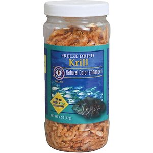 Tetra JumboKrill Freeze Dried Jumbo Shrimp Fish Food for Large Tropical and  Marine Fish, Vitamin Enhanced, 400g : : Pet Supplies