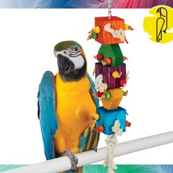 Caitec Featherland Paradise Loaded Dice Bird Toy slide 2 of 9