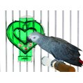 Caitec Featherland Paradise Mastermind Heart Bird Toy