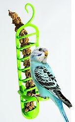 Caitec Featherland Paradise Plastic Millet Holder Bird Toy