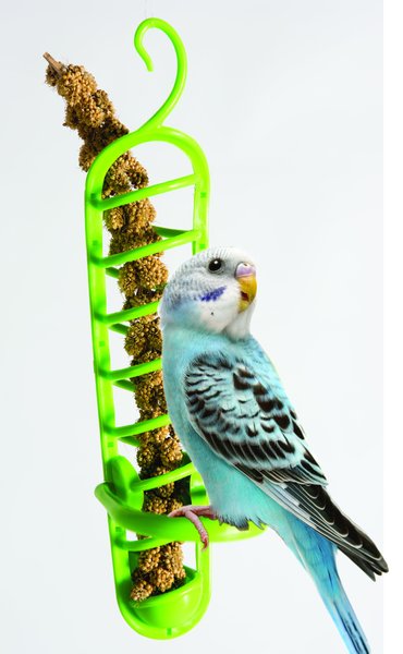 Caitec Featherland Paradise Plastic Millet Holder Bird Toy slide 1 of 1